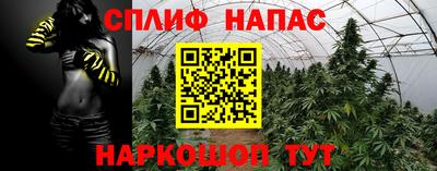 ГАЛЛЮЦИНОГЕННЫЕ ГРИБЫ Бийск