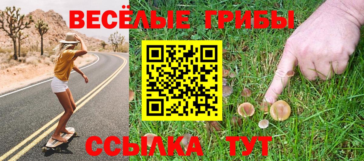 Кандалакша  Псилоцибиновые грибы Magic Shrooms  Вход с VPN  Псилоцибиновые грибы ЛСД 