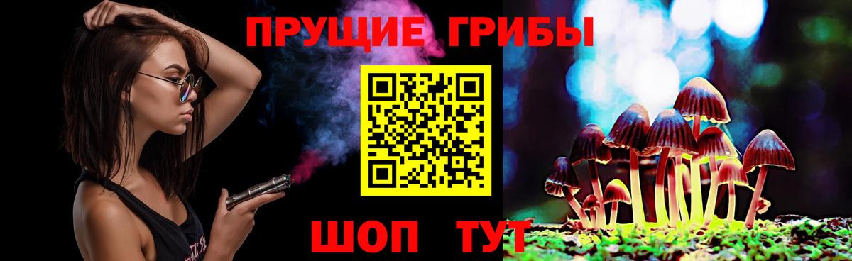 Галлюциногенные грибы Cubensis Кандалакша